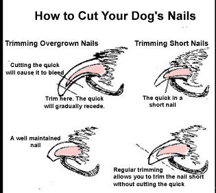 nail_trimming
