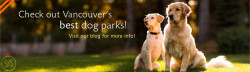 Check out Vancouver's best dog parks! Visit our blog