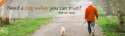 Want a dog walker you can trust? Visit our blog