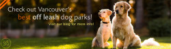 Visit our Blog for Vancouver's best off leash dog parks!