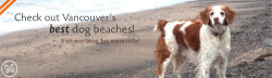 Visit our Blog for Vancouver's best dog beaches!