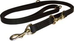 dog leash